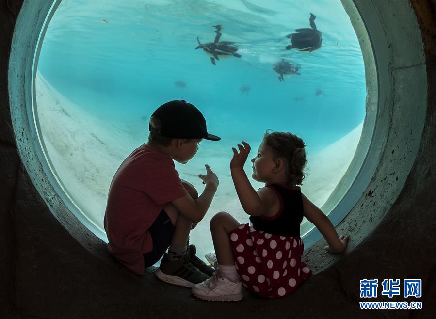 Parque Zoológico de Londres reabre