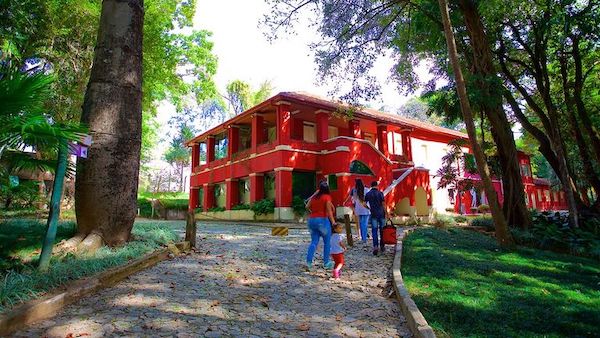 Museu universitário no Brasil pega fogo e maioria das mais de 260.000 cole??es é 