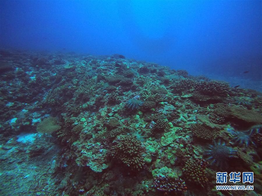 Expedi??o científica terminou no Mar do Sul da China