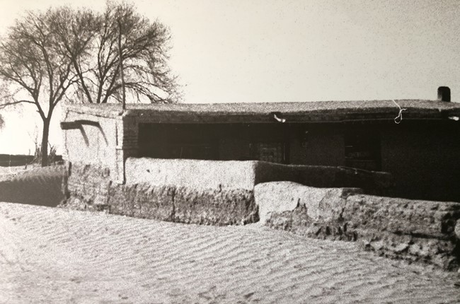 China reverte desertifica??o em Maowusu, Ningxia