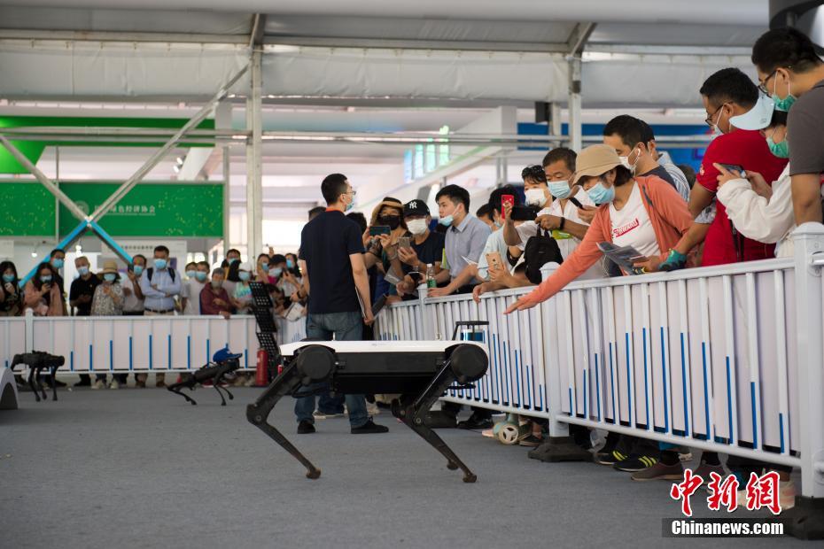área de exposi??o de servi?os culturais da CIFTIS atrai visitantes