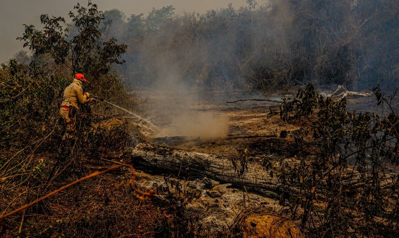Governo declara situa??o de emergência ambiental por incêndios no Pantanal brasileiro