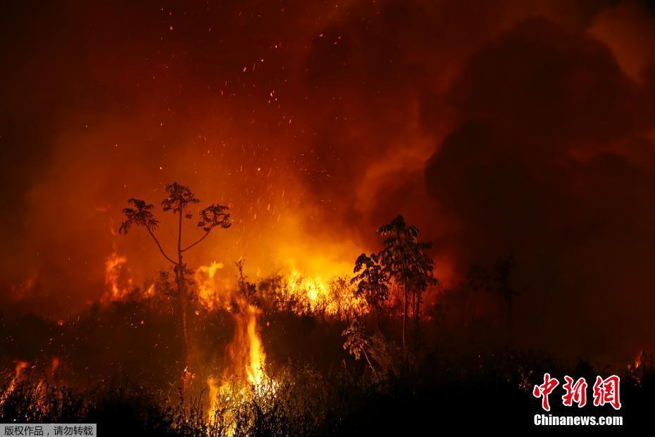 A maior área húmida no mundo tem recorde de incêndio, amea?ando espécies em extins?o