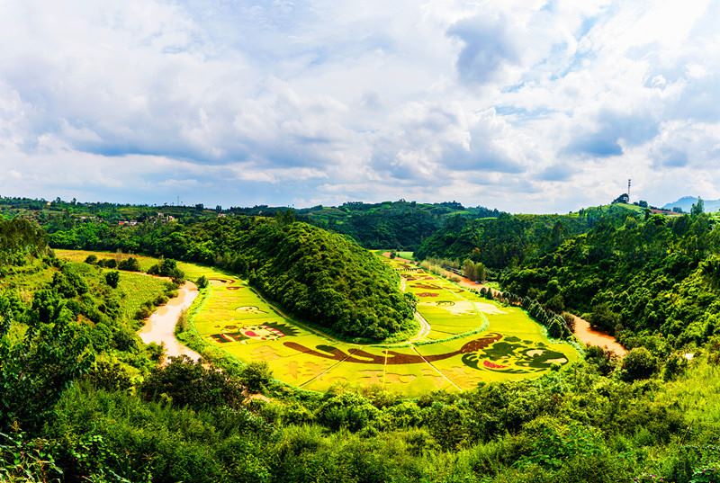 Galeria: arrozal colorido em Yunnan desperta aten??o de curiosos

