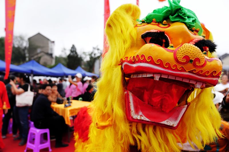 Galeria: época de colheita