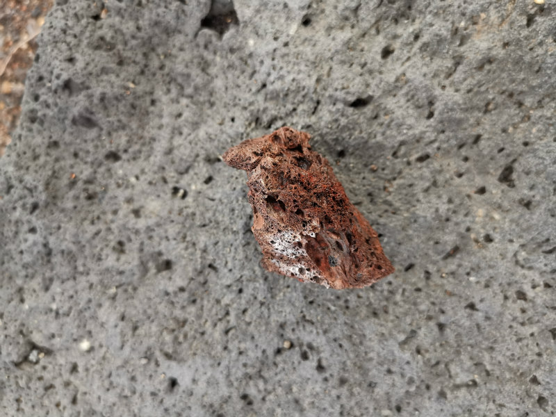 Deslumbrante cenário de outono de Wudalianchi atrai turistas