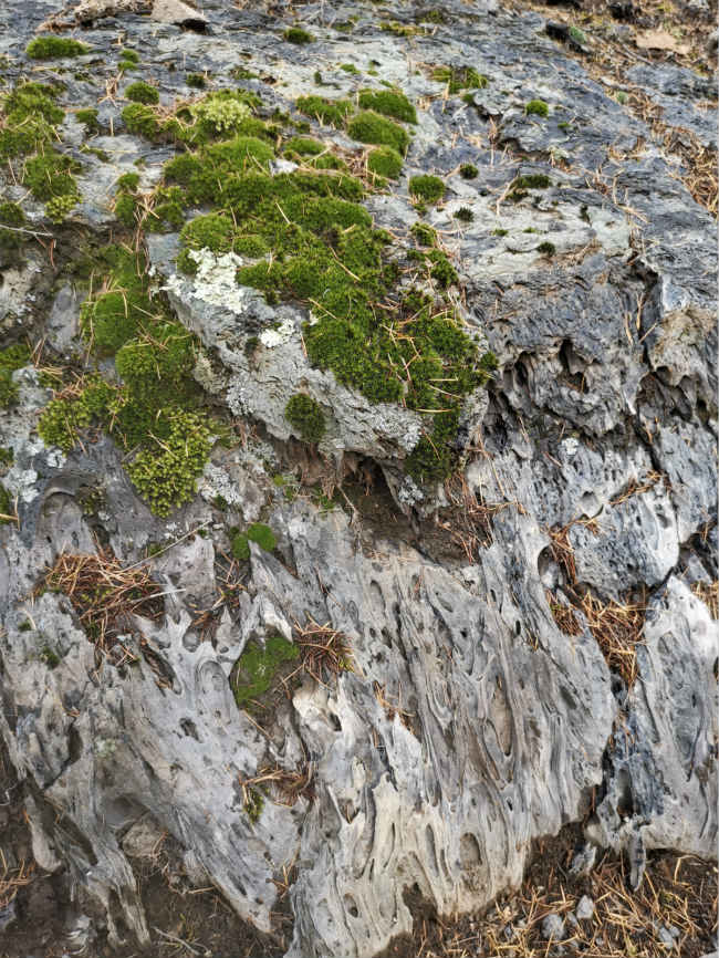 Deslumbrante cenário de outono de Wudalianchi atrai turistas