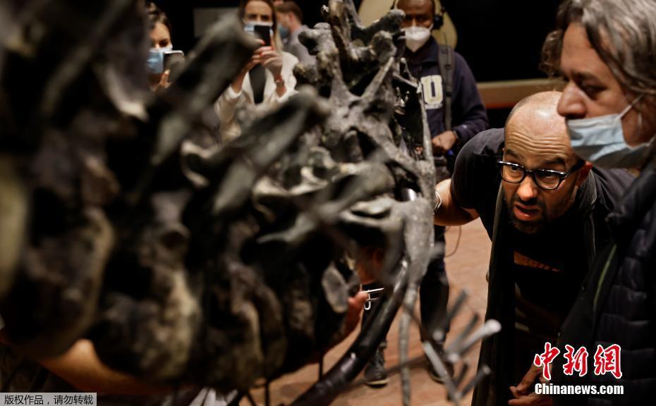 Fran?a leiloa fóssil de esqueleto de alossauro por mais de um milh?o de euros