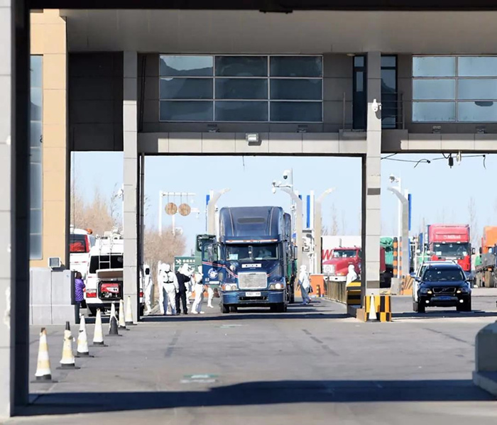 30.000 ovelhas doadas pela Mongólia come?am a ser entregues à China