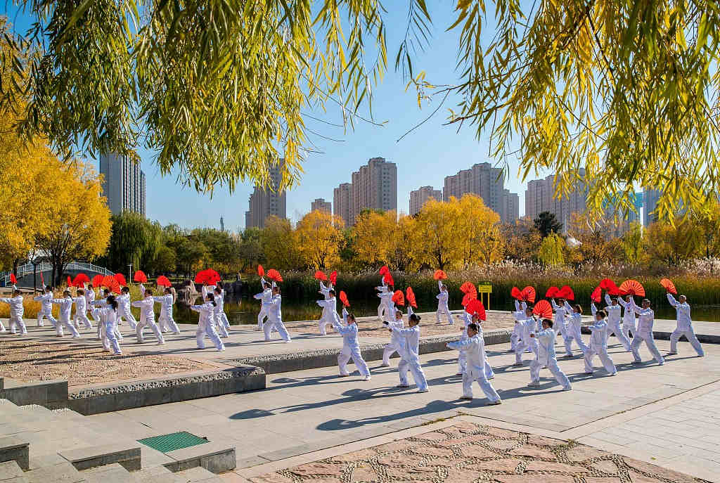 Entusiastas das artes marciais praticam dan?a tai chi em Hohhot