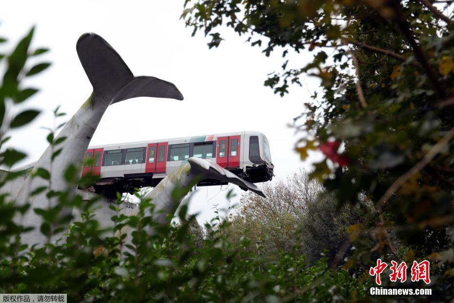 Trem holandês sai dos trilhos e atinge escultura de baleia