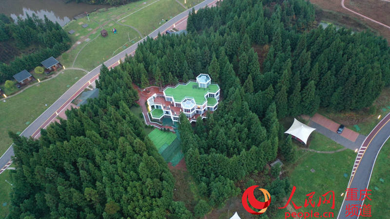 Chongqing: biblioteca instalada em área de servi?o em regi?o florestal