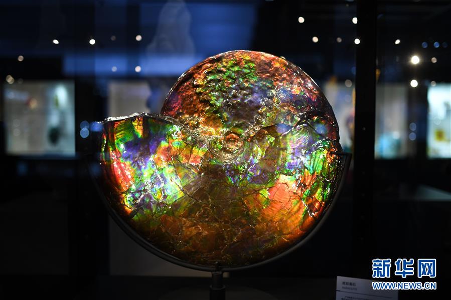 Experiência da Feira Internacional de Importa??o da China: colorida, esplêndida e futurista