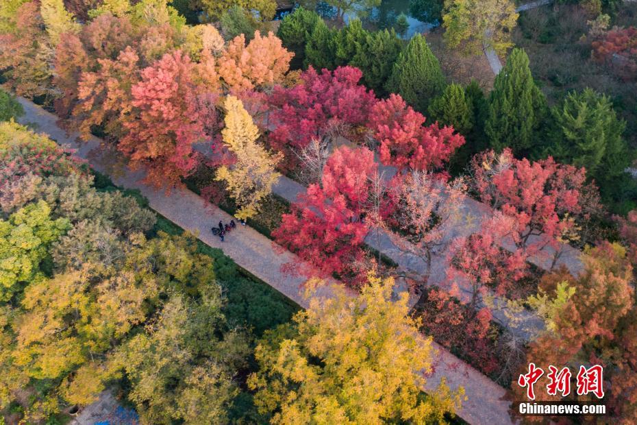 Galeria: paisagem outonal em Nanjing