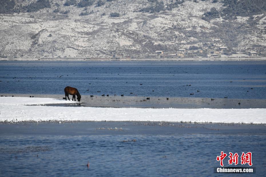 Yunnan: paisagem estonteante de Shangri-la após queda de neve