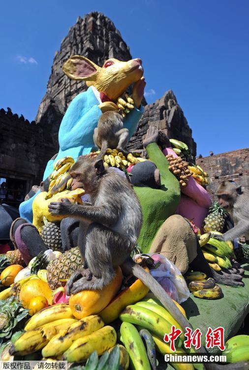 Tailandia: cidade de Lopburi realiza buffet anual dedicado aos macacos