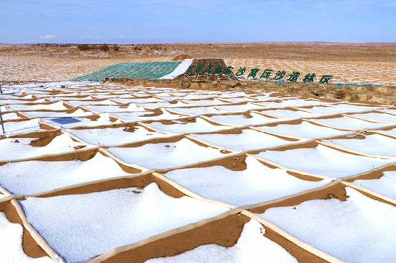 Barreira única retarda invas?o da areia do deserto