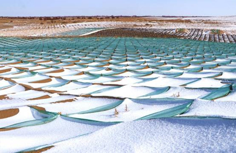 Barreira única retarda invas?o da areia do deserto