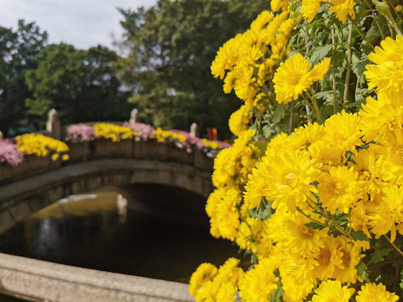 Guangzhou realiza 6o Festival Cultural Huanghua