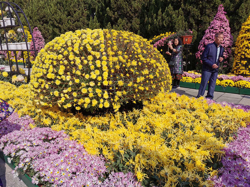 Guangzhou realiza 6o Festival Cultural Huanghua