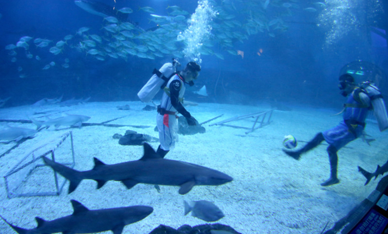 Dia Mundial do Futebol