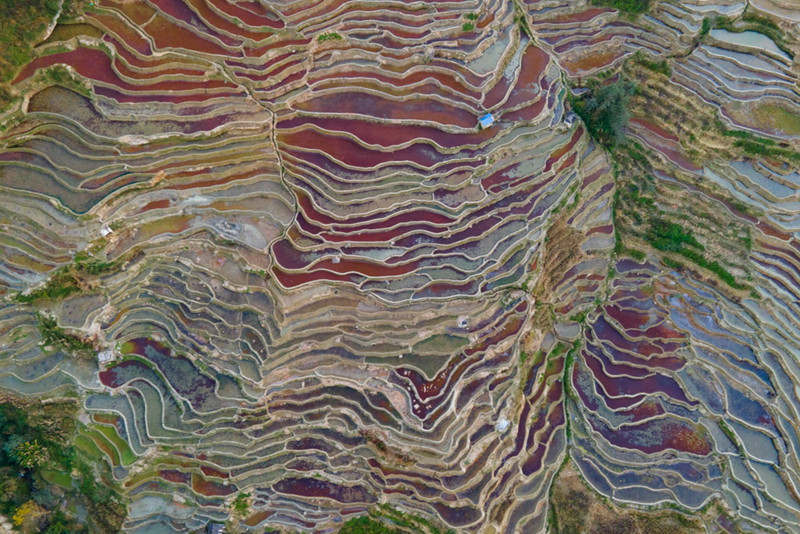 Galeria: arrozais?de Honghe?Hani, Yunnan