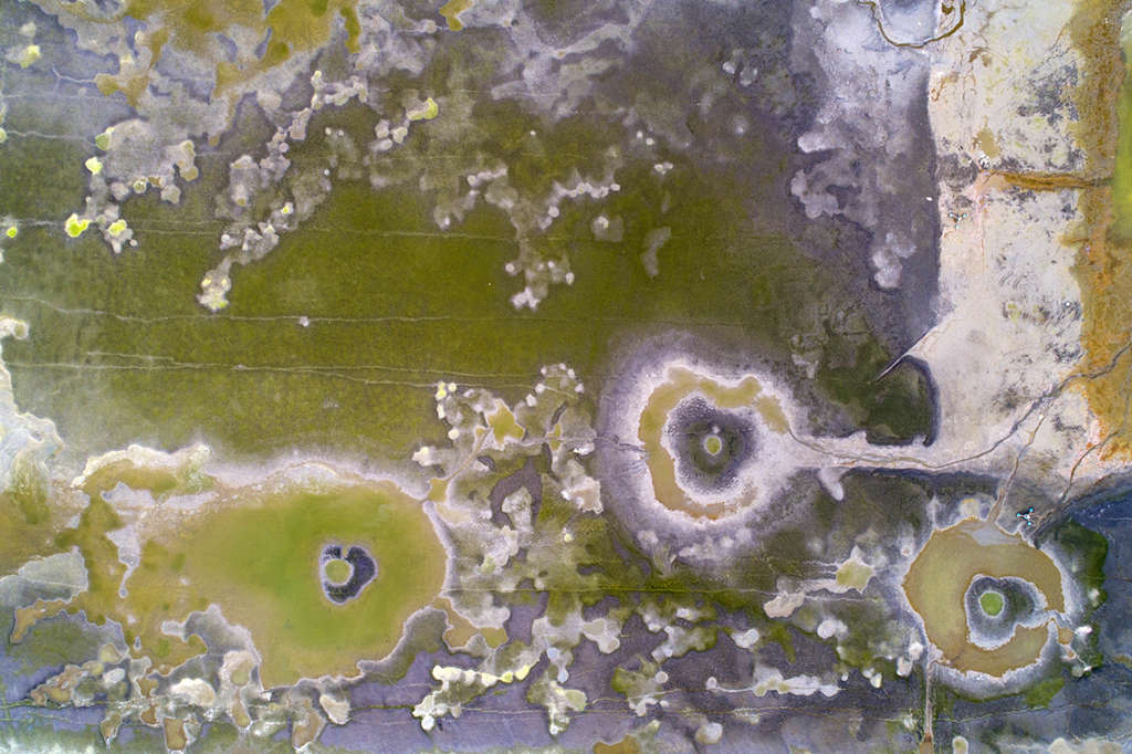 Dia Mundial das áreas úmidas comemorado em 2 de fevereiro