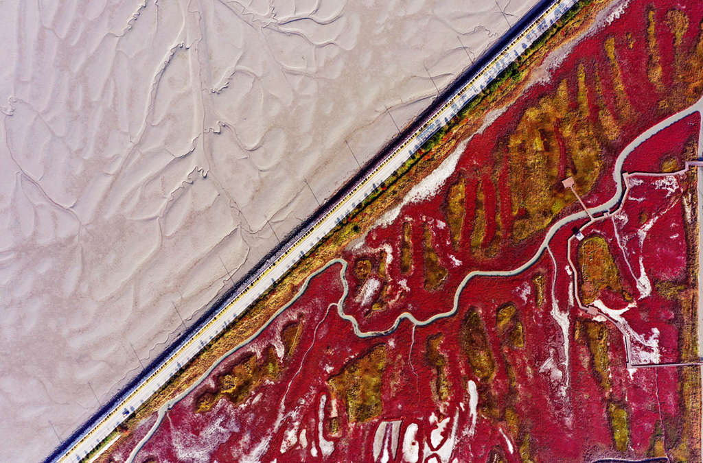 Dia Mundial das áreas úmidas comemorado em 2 de fevereiro