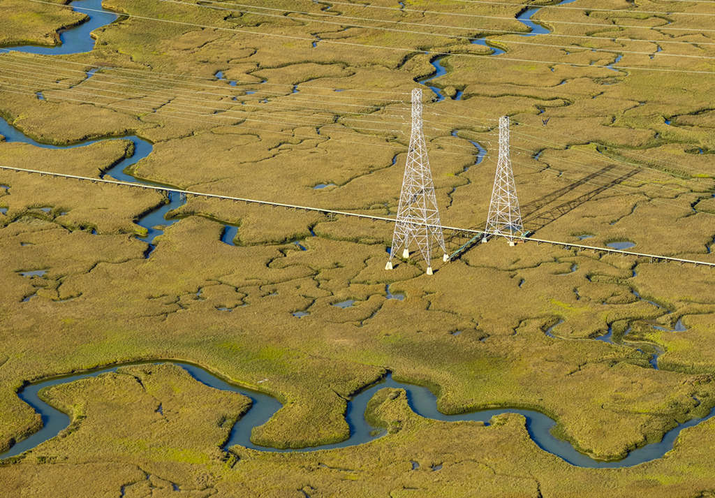 Dia Mundial das áreas úmidas comemorado em 2 de fevereiro
