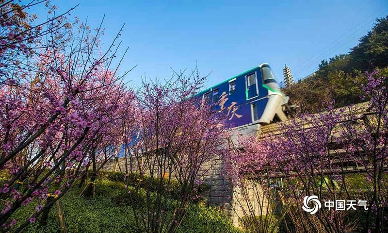 Galeria: monotrilho atravessa “mar de flores” em Chongqing