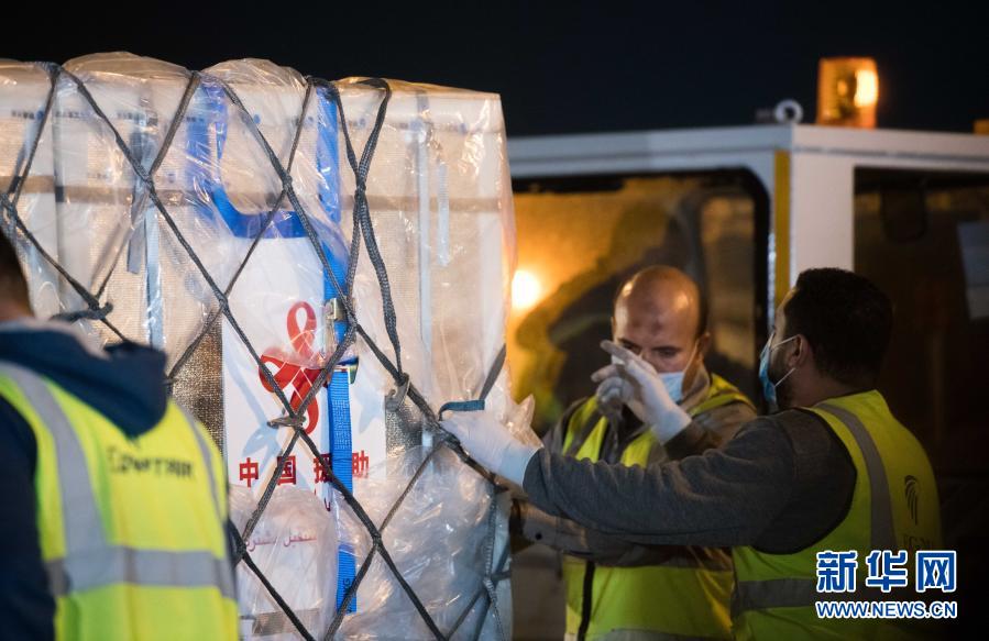 Egito e Liga árabe recebem 1o lote de vacinas de COVID-19 doadas pela China