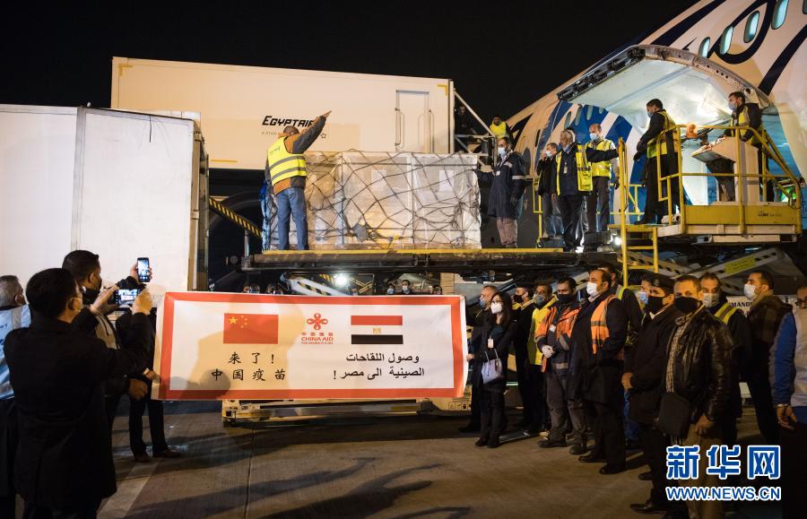 Egito e Liga árabe recebem 1o lote de vacinas de COVID-19 doadas pela China