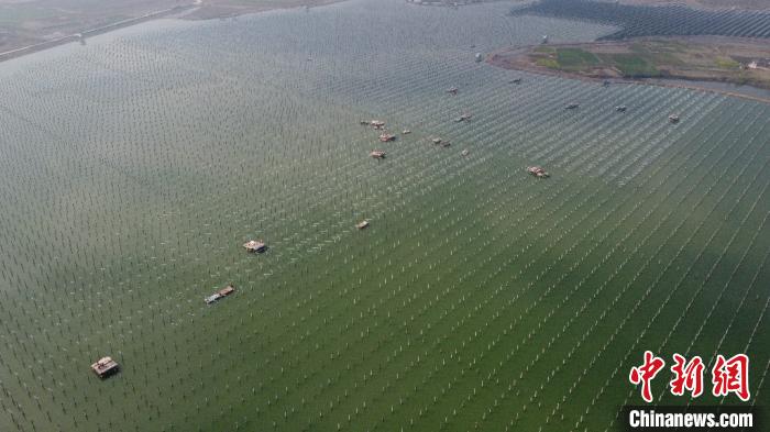 Galeria: Constru??o combina piscicultura e gera??o de energia fotovoltaica