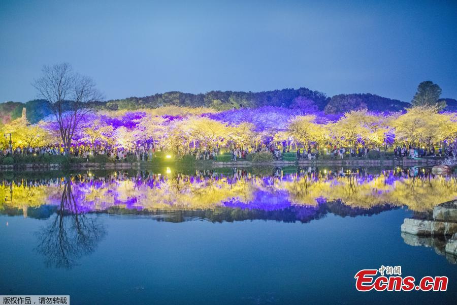 Galeria: Vis?o noturna do Parque de Cerejeira no Lago Leste de Wuhan