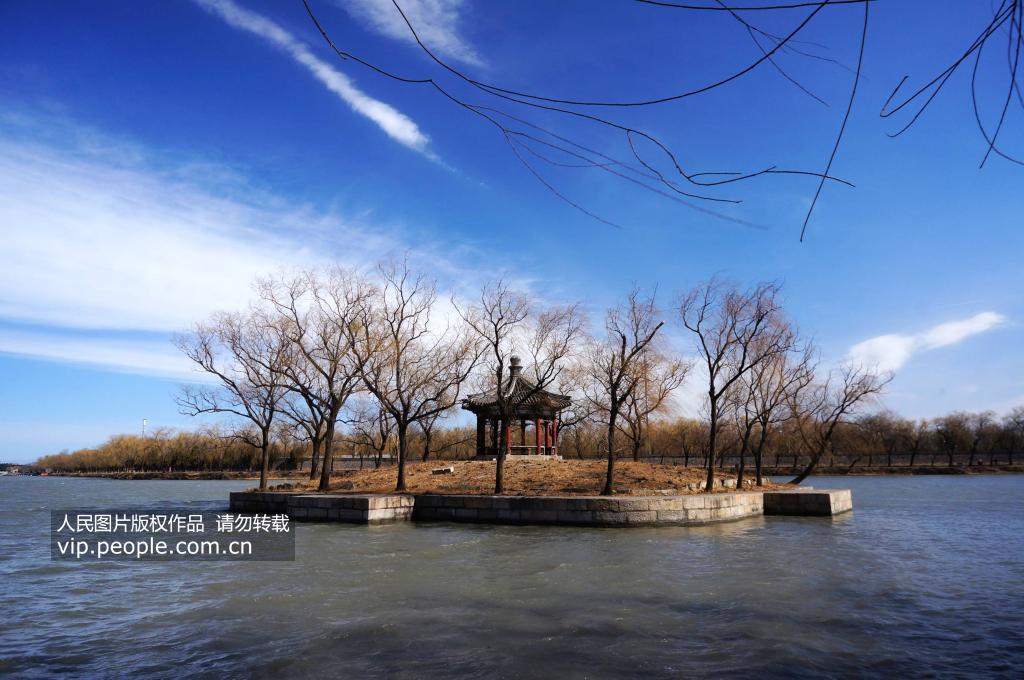 Flores de pessegueiro florescem no Palácio de Ver?o