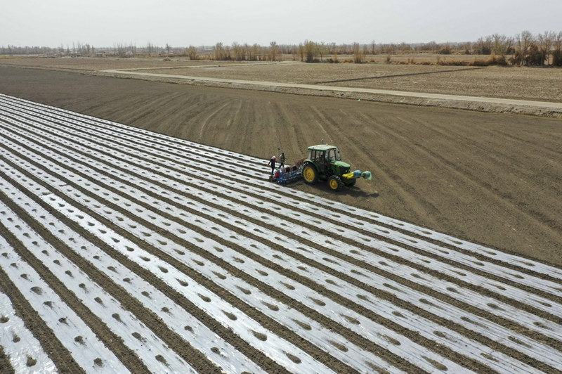 Xinjiang inicia semeadura de algod?o da primavera