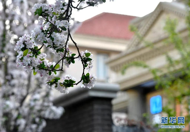 Festival Qingming registra 102 milh?es de viagens de turismo doméstico na China