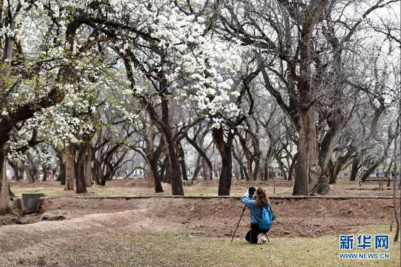 Festival Qingming registra 102 milh?es de viagens de turismo doméstico na China