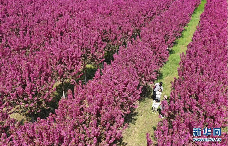 Festival Qingming registra 102 milh?es de viagens de turismo doméstico na China