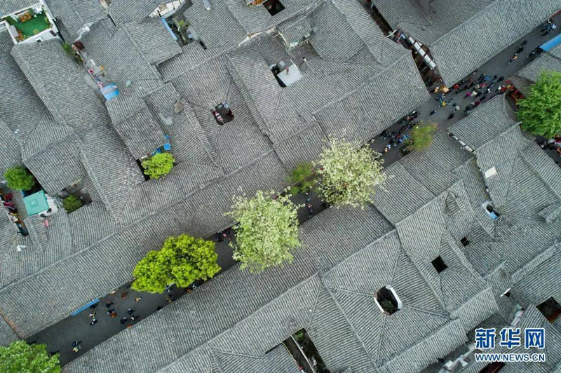 Festival Qingming registra 102 milh?es de viagens de turismo doméstico na China