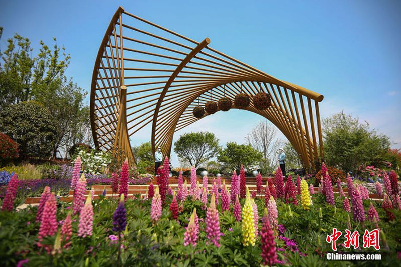 Exposi??o Horticultural Internacional de Yangzhou 2021 é inaugurada