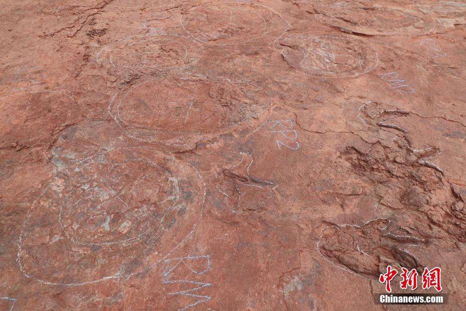 'Pista de dan?a de dinossauro' descoberta em Fujian, sudeste da China