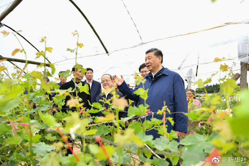 Xi Jinping faz visita de inspe??o em Guangxi