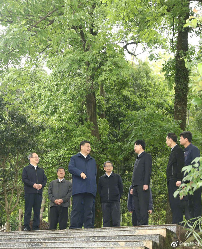 Xi Jinping faz visita de inspe??o em Guangxi