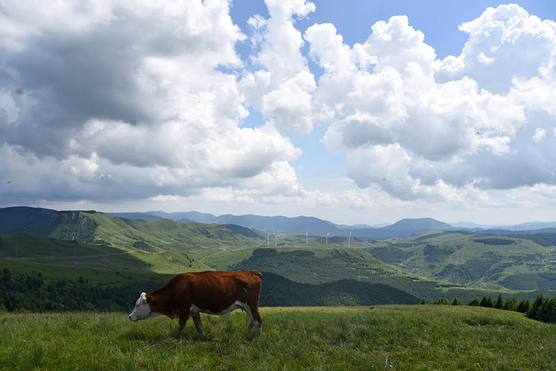 Dia do Trabalhador: Várias op??es para aproveitar as férias na China
