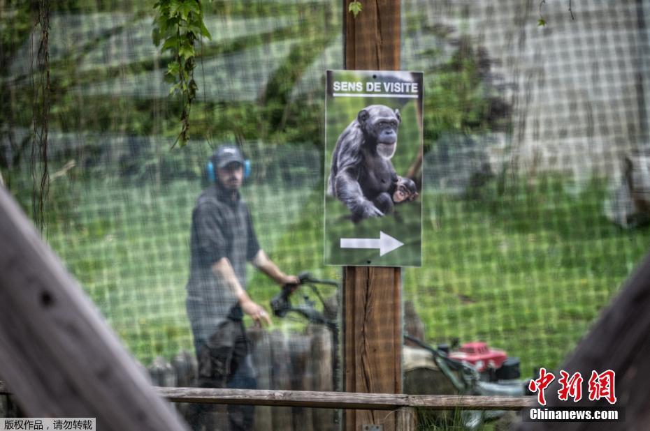 Jardim zoológico da Fran?a será reaberto