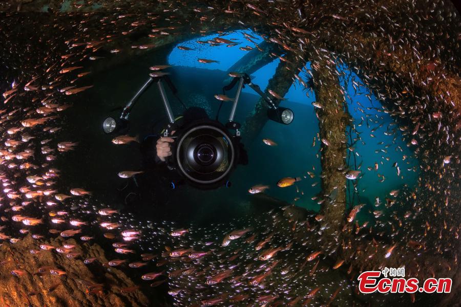Mundo oceanico é revelado por fotógrafos subaquáticos em Hainan