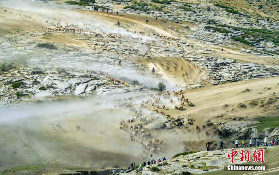 Xinjiang: Migra??o sazonal de rebanhos ocorre em Altay 