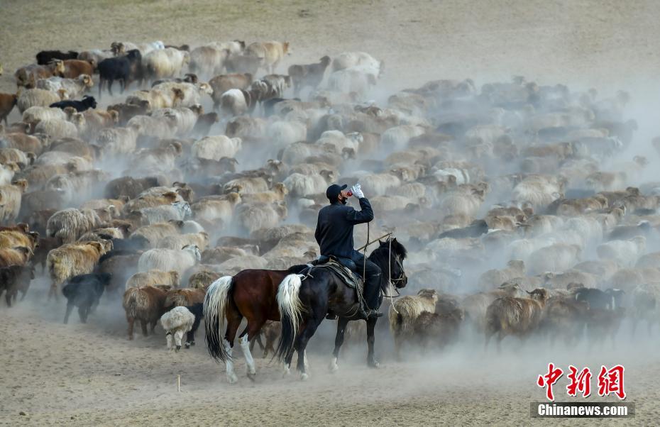 Xinjiang: Migra??o sazonal de rebanhos ocorre em Altay 