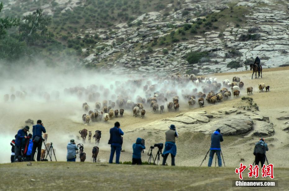 Xinjiang: Migra??o sazonal de rebanhos ocorre em Altay 